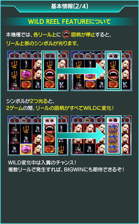 CURVY VAMPIRESSのゲーム画面