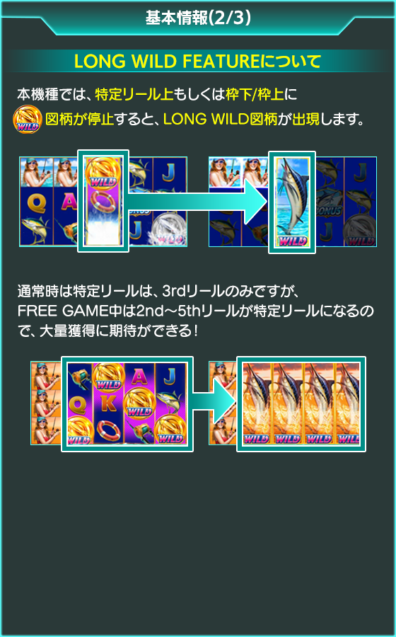 WILD BLUE MARLINのゲーム画面