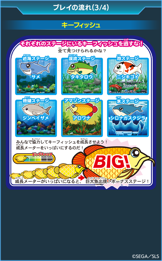 箱絵巻 まんぷくすいぞくかんのゲーム画面